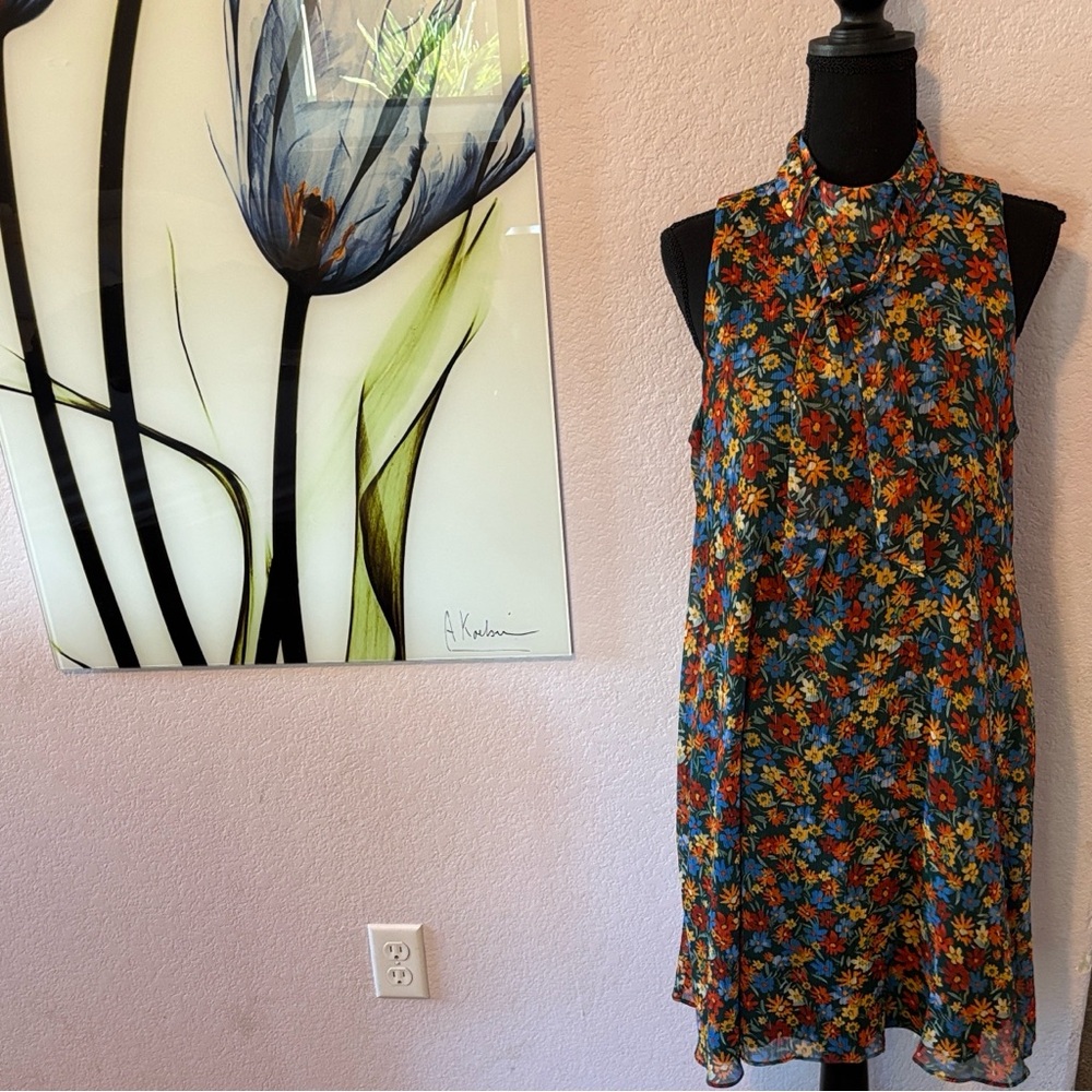dress size 12